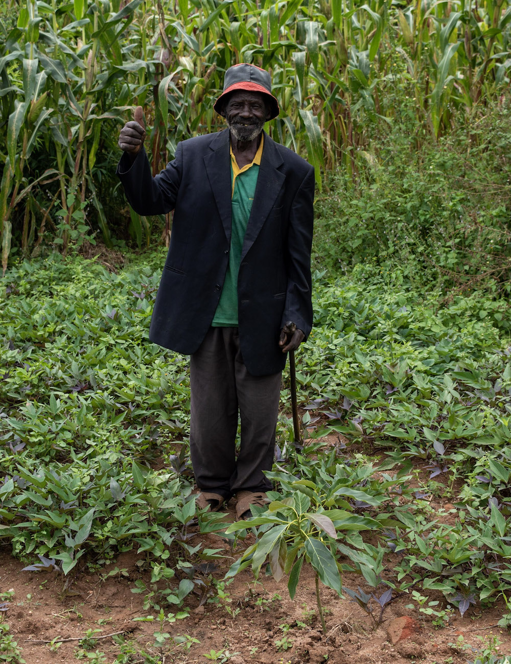 A recipient of an Avocado tree