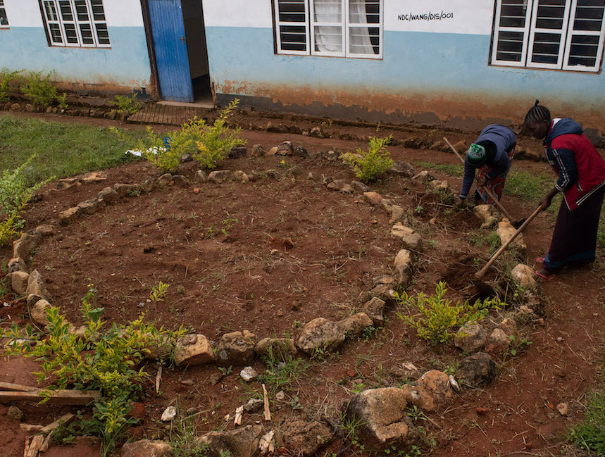 Wangama Medicinal Garden