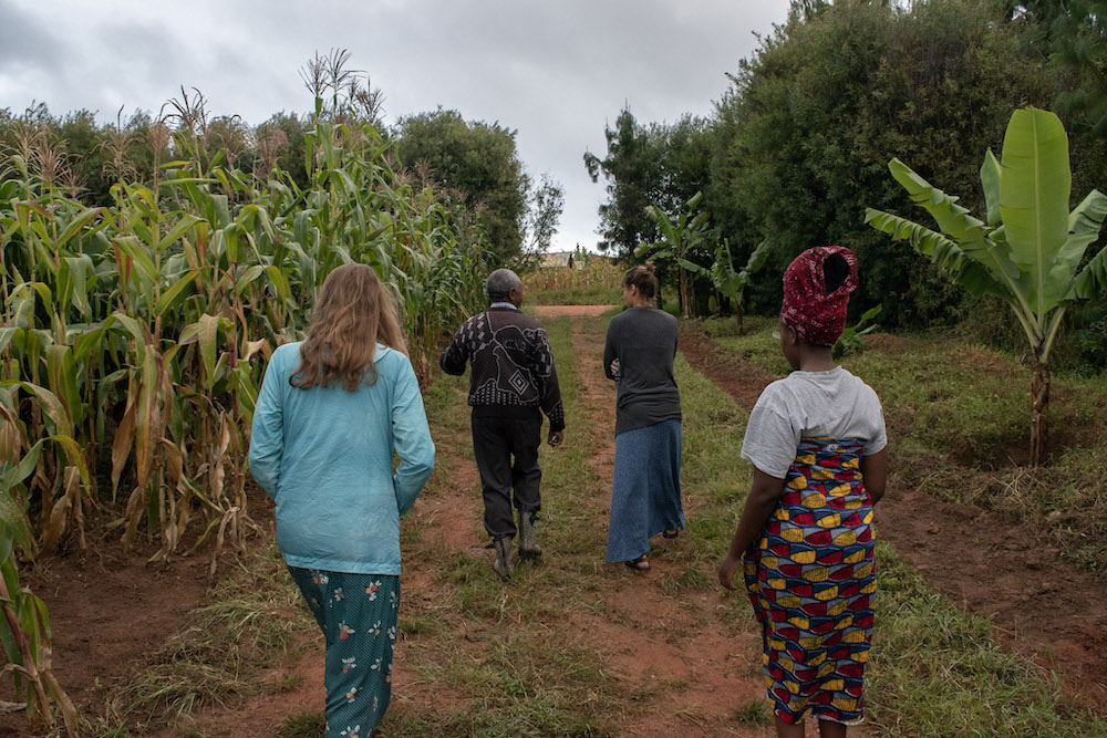 walking through the corn in wangama