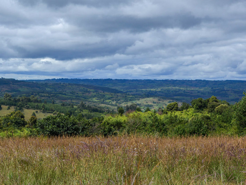 wangama landscape
