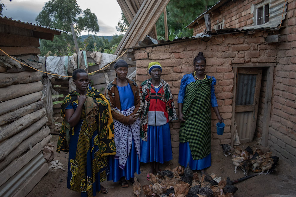 Women's Group Chicken Raising project